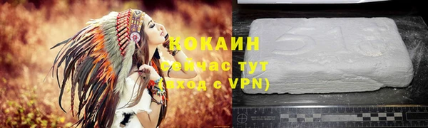 бошки Бородино