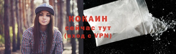спиды Верея