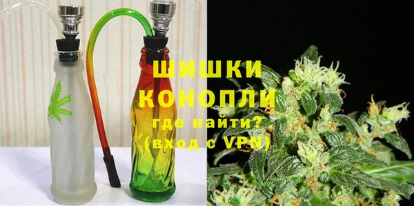 бошки Бородино