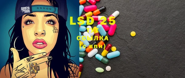 спиды Верея