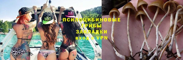 крисы Бронницы