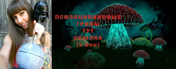 спиды Верея